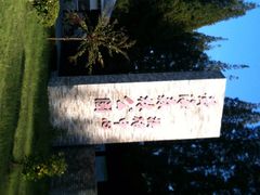 黄海森林公园-黄海国家森林公园