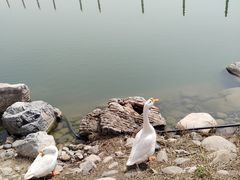 -天津东丽湖风景区