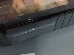 -暖阳宠物医院·犬猫康复中心·骨科
