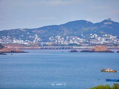 -枸杞岛