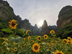 -神农山景区
