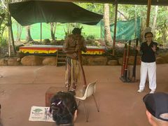 -热带雨林自然公园