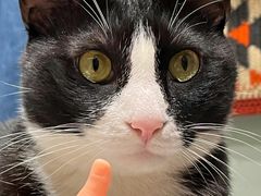 -郭记小街麻辣烫(南小街总店)