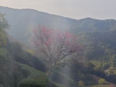 -象头山国家级自然保护区