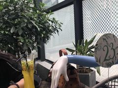 -大树餐厅(红旗街万达店)