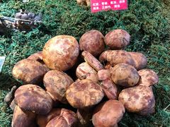 -朱家小厨(红塔西路店)