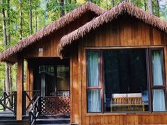 -黄海国家森林公园