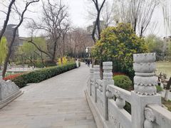 -莲湖公园