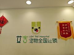 -艾吉宠物医院·疑难杂症转诊中心·猫友好(碧江路院)