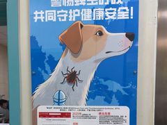 -北京观赏动物医院·24小时大型综合·猫专科·异宠专科
