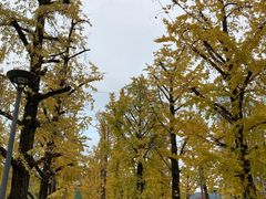 -百林公园-两江幸福广场