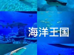 -珠海长隆海洋王国