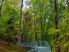 -花亭湖风景名胜区