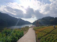 -广州市石门国家森林公园