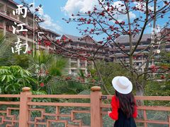 -海口万豪·大堂吧·望海吧.日落海景·下午茶·奶茶·咖啡·轻食·蛋糕·鸡尾酒·清吧