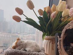 -鹿屿DIY烘焙·公司团建·生日会包场(广州东站店)