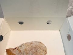-必胜客(上海新南方商城PH店)