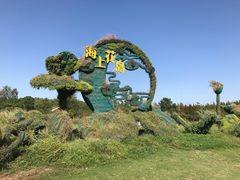 -东平国家森林公园