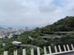 -福道