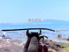 -鹿嘴山庄