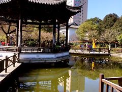 -江湾公园
