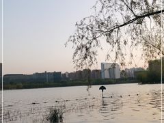 -天鹅湖体育公园