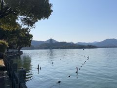 -杭州西湖柳莺里酒店·闻莺厅