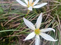 -雅达·阳羡溪山小镇中心