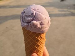 -成裕雪糕店(士多店)
