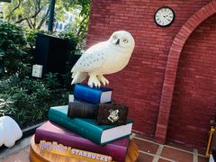 -星巴克臻选(广州沙面店)