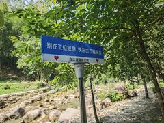 -广州白江湖森林公园