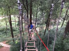 -梦幻奥陶纪景区