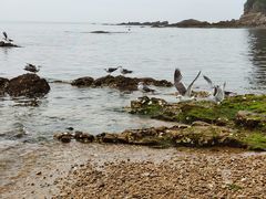 -棒棰岛宾馆景区