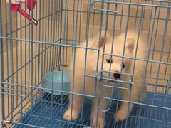 -佳百利宠物(荣乐中路115弄小区店)