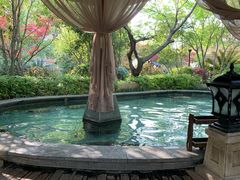 -苏州湾·王焰温泉