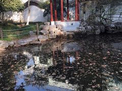 -瀛洲公园