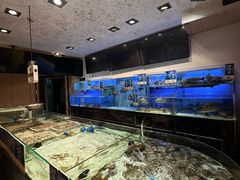 -虾饺妹·酒家(金碧店)