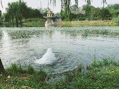 -和园景逸大酒店朗月汤泉