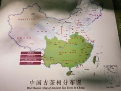 -中国茶叶博物馆(双峰馆区)