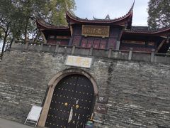-桂湖森林公园