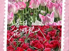 -库肯霍夫公园