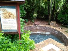 -三亚珠江南田温泉度假区