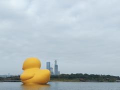 -深圳人才公园