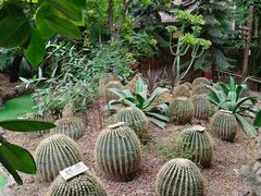 -呀路古热带植物园