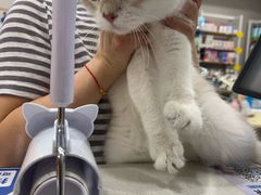 -瑞鹏宠物医院·骨科·猫科·内科(第一中心)