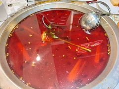 -蛙一刀·麻椒鱼火锅(金仙桥店)