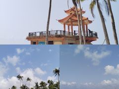 -东郊椰林