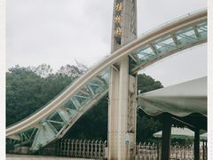-南山植物园