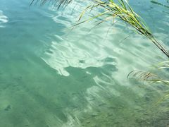 环境-紫云谷景区