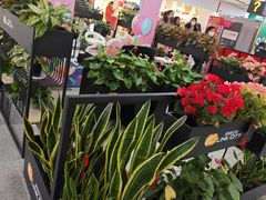 -连城·新天地(福华一路店)